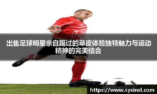 出售足球明星亲自踢过的草皮体验独特魅力与运动精神的完美结合